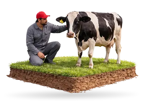 Farmer with cow