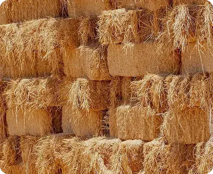 Farm gallery 5