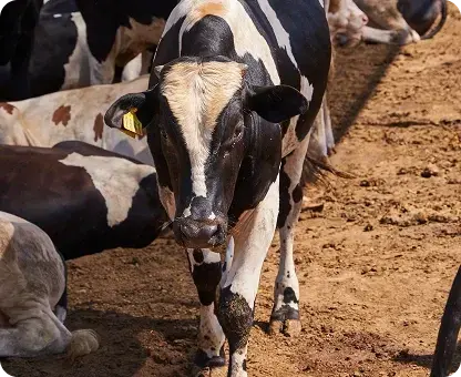 Full-Circle Farming